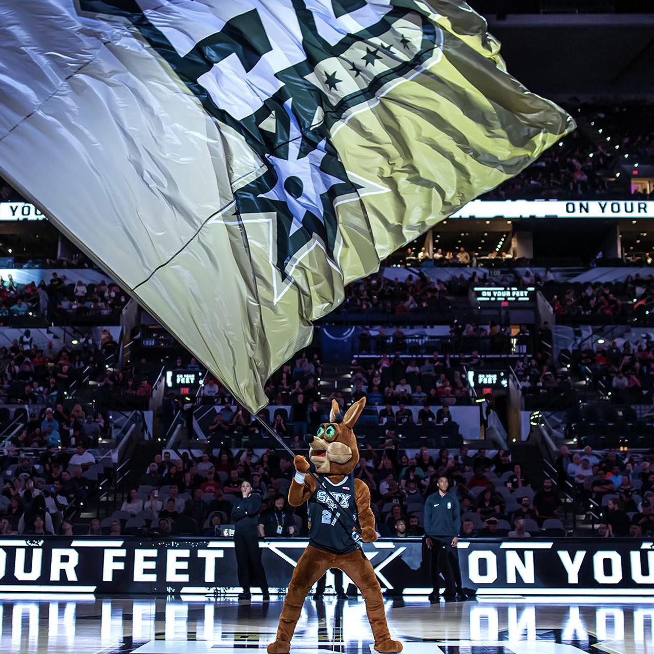 这些在密集 这些在密集